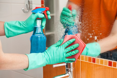 Professional pet stain odour removal in a St Pauls Cray home