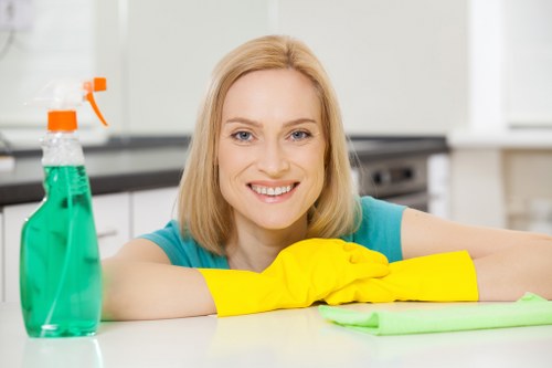 Safe online payment process for local carpet cleaners