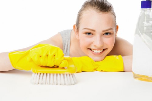 Deep stain treatment on household surfaces in St Pauls Cray
