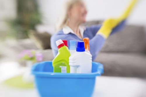 Freshly cleaned carpet creating a healthier and more comfortable interior