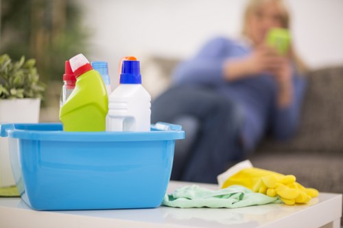 Specialist cleaning equipment for pet stain odour removal