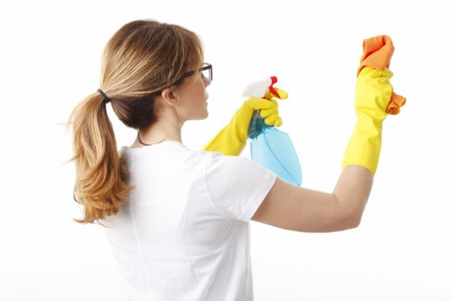 Deep carpet cleaning equipment removing dirt from a carpeted floor